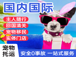 朔州滋润航空货运国际宠物托运 【国